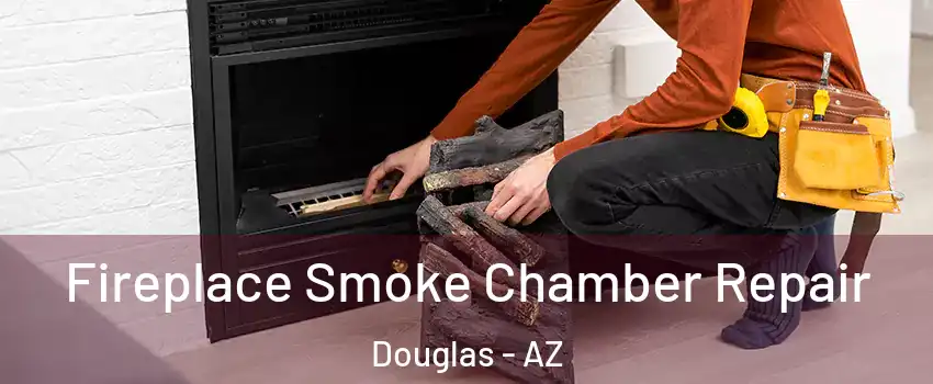  Fireplace Smoke Chamber Repair Douglas - AZ
