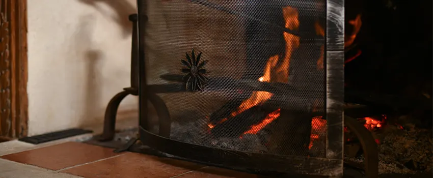 Electric Metal Fireplace installation Services in Douglas, AZ